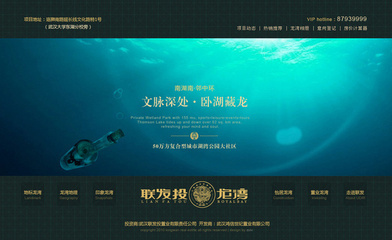 聯(lián)發(fā)投項(xiàng)目網(wǎng)站_成功案例_武漢筑巢數(shù)字傳.@幕旗山領(lǐng)袖采集到設(shè)計(jì)(66圖)_花瓣平面設(shè)計(jì)