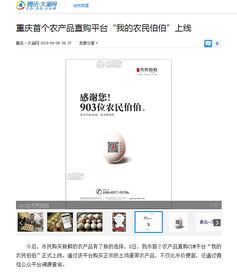 關(guān)于一家互聯(lián)網(wǎng)農(nóng)產(chǎn)品公司的相關(guān)設(shè)計和插畫作品