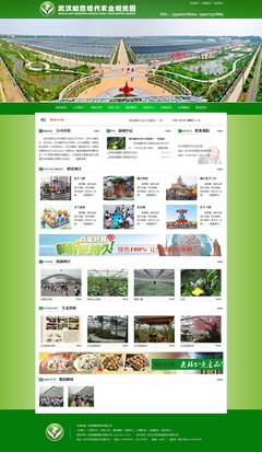 √億網互聯-武漢網站建設案例分析|武漢網站設計案例分析|武漢網制作案例分析|武漢企業網站建設案例分析|武漢學校網站制作案例分析|武漢優秀網站設計案例分析|武漢旅游網站建設案例分析-網站案例中心!