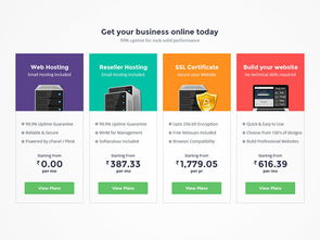 40個網頁價格表單設計欣賞