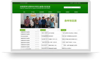 客戶案例 九州科技 武漢做網(wǎng)站 武漢網(wǎng)站建設(shè) 武漢網(wǎng)站建設(shè)公司 武漢網(wǎng)站制作 武漢網(wǎng)站制作公司 武漢專業(yè)做網(wǎng)站 武漢做網(wǎng)站公司 武漢網(wǎng)站設(shè)計(jì) 武漢網(wǎng)站設(shè)計(jì)公司