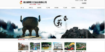 武漢企業(yè)網(wǎng)站設(shè)計(jì)建設(shè)*公司