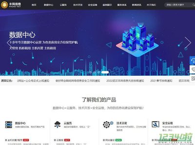 豐網(wǎng)信息與武漢網(wǎng)站開(kāi)發(fā) 打造數(shù)字化未來(lái)的專業(yè)伙伴